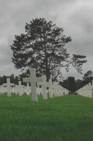 a cemetery with many headstones and a tree in the background